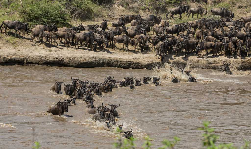 SEASONS F SERENGETI