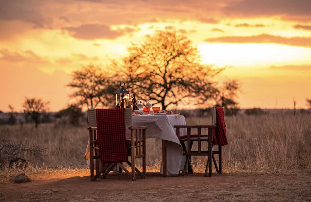 HONEYMOON SAFARI